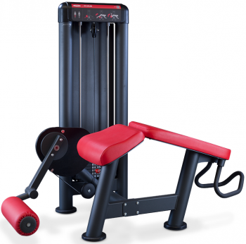Сгибание ног лежа Panatta 1SC082 | Panatta | italy-sport.ru