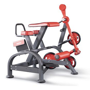 Обратная гиперэкстензия Panatta 1FW096 | Panatta | italy-sport.ru