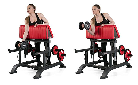 Регулируемая скамья для бицепса стоя Panatta 1HP213 | Panatta | italy-sport.ru