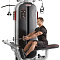 Jungle machine 4-в-1 Мультистанция Panatta 1MTH115 | Panatta | italy-sport.ru