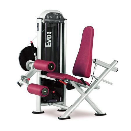 Сгибание ног сидя Panatta 1FE083 | Panatta | panatta-sport.ru