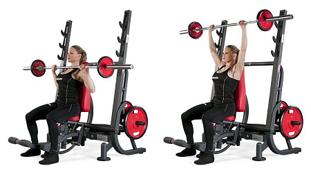 Армейский жим Panatta 1HP207B | Panatta | italy-sport.ru