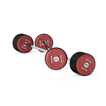 Штанга 25 кг (с заглушкой) Panatta 1PBF25 | Panatta | italy-sport.ru