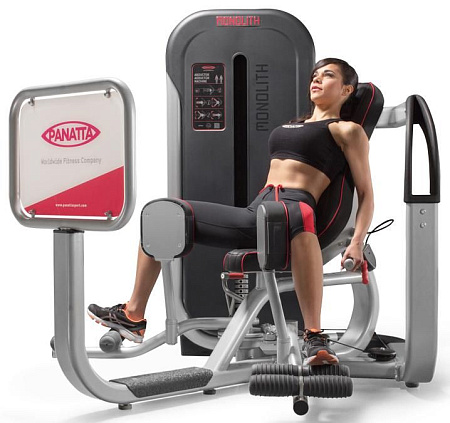 Сведение / Разведение бедер Panatta 1MTH093 | Panatta | panatta-sport.ru