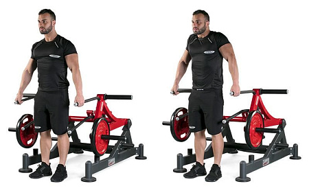 Становая тяга / Выпады Panatta 1HP590 | Panatta | italy-sport.ru