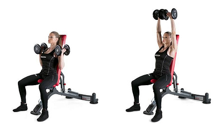 Многофункциональная регулируемая скамья Panatta 1HP201 | Panatta | italy-sport.ru