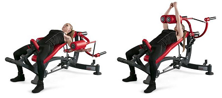 Бабочка в наклоне Panatta 1HP538 | Panatta | italy-sport.ru