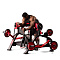 Независимый бицепс с упором в грудь Panatta 1FW054 | Panatta | italy-sport.ru