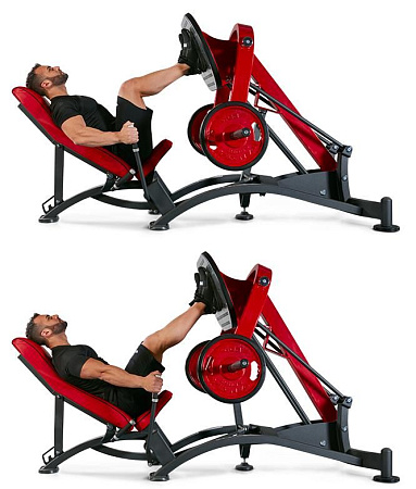 Жим ногами (присед) Panatta 1HP583 | Panatta | italy-sport.ru