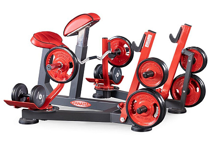 Бицепс с упором в грудь (скамья пастыря - preacher curl) Panatta 1FW512 | Panatta | italy-sport.ru