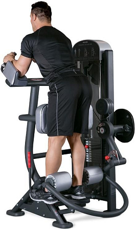 Сгибание ног стоя Panatta 1FE084 | Panatta | italy-sport.ru