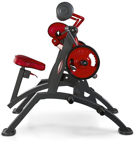 Бицепс Panatta 1HP551 | Panatta | italy-sport.ru