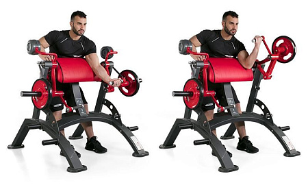 Бицепс Panatta 1HP551 | Panatta | italy-sport.ru