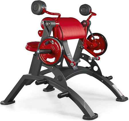 Бицепс Panatta 1HP551 | Panatta | italy-sport.ru