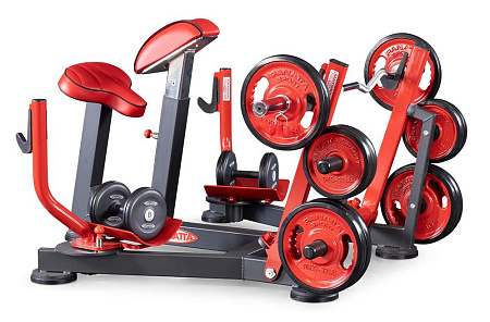 Бицепс с упором в грудь (скамья пастыря - preacher curl) Panatta 1FW512 | Panatta | italy-sport.ru