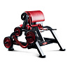 Бицепс сидя Panatta 1FW351 | Panatta | panatta-sport.ru