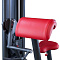 Бицепс машина Panatta 1SC051 | Panatta | italy-sport.ru
