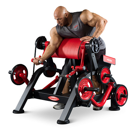 Бицепс (независимый) Panatta 1FW251 | Panatta | italy-sport.ru