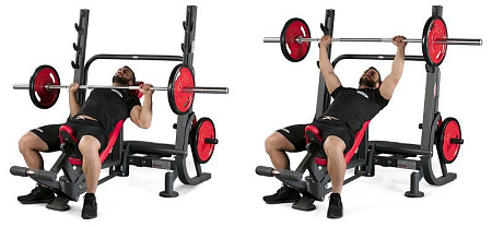 Олимпийская наклонная скамья (версия Super) Panatta 1HP205 | Panatta | italy-sport.ru