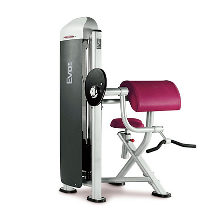 Бицепс Panatta 1FE051 | Panatta | italy-sport.ru