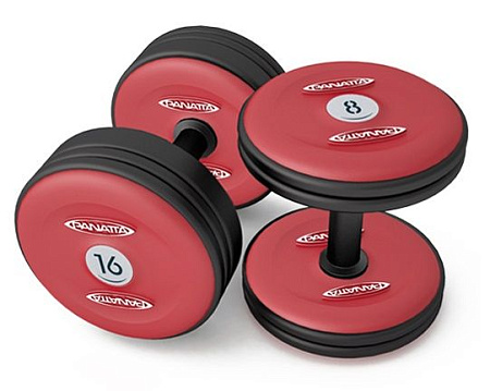 Гантели 8 кг Panatta 1MF8 | Panatta | italy-sport.ru