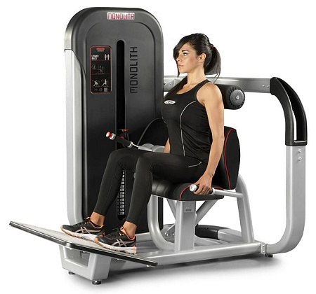 Разгибание спины Panatta 1MTH005 | Panatta | italy-sport.ru