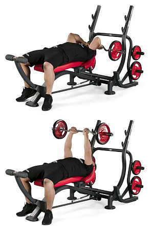 Скамья Трицепс лежа Panatta 1HP214 | Panatta | italy-sport.ru