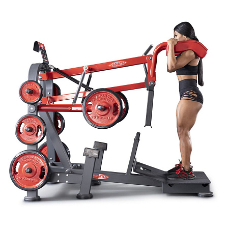 Присед (сквот машина, версия super) Panatta 1FW091 | Panatta | panatta-sport.ru