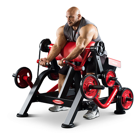 Бицепс (независимый) Panatta 1FW251 | Panatta | italy-sport.ru