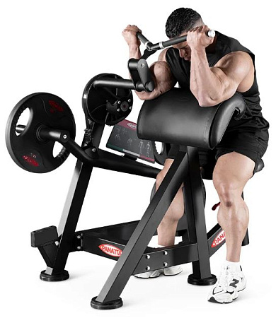 Бицепс Panatta 1FO151 | Panatta | italy-sport.ru