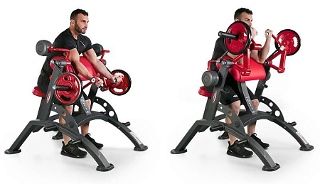 Бицепс Panatta 1HP551 | Panatta | italy-sport.ru