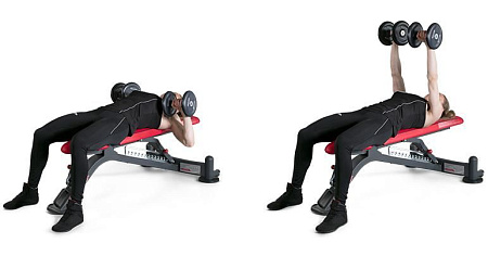 Многофункциональная регулируемая скамья Panatta 1HP201 | Panatta | italy-sport.ru