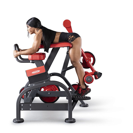 Обратная гиперэкстензия Panatta 1FW096 | Panatta | italy-sport.ru