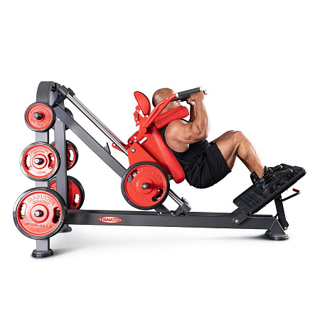 Гакк присед (версия super) Panatta 1FW087 | Panatta | italy-sport.ru