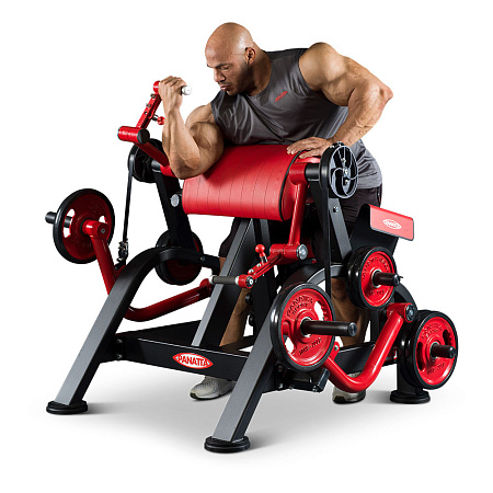 Бицепс (независимый) Panatta 1FW251 | Panatta | italy-sport.ru