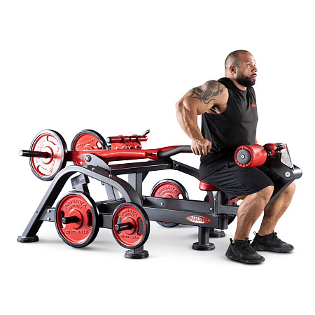Двойной жим на трицепс Panatta 1FW040 | Panatta | italy-sport.ru