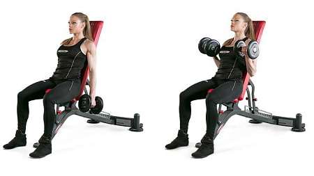 Многофункциональная регулируемая скамья Panatta 1HP201 | Panatta | italy-sport.ru