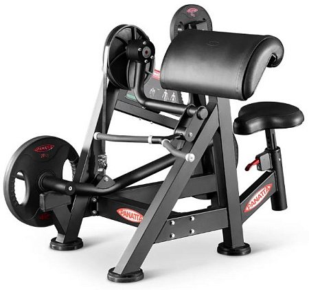 Бицепс Panatta 1FO151 | Panatta | italy-sport.ru