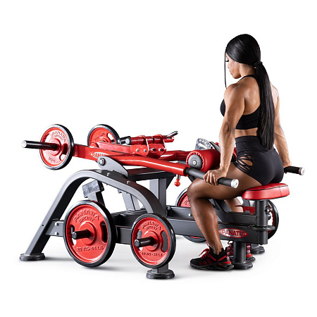 Двойной жим на трицепс Panatta 1FW040 | Panatta | italy-sport.ru