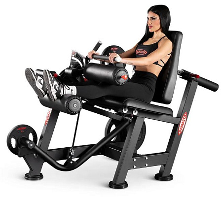 Сгибание ног сидя Panatta 1FO183 | Panatta | italy-sport.ru