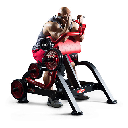 Бицепс сидя Panatta 1FW351 | Panatta | italy-sport.ru