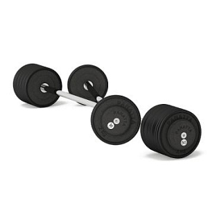 Штанга 25 кг Panatta 1PBB25 | Panatta | panatta-sport.ru