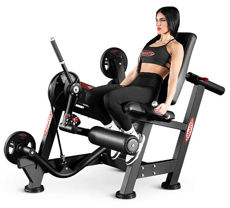 Разгибание ног Panatta 1FO181 | Panatta | italy-sport.ru