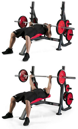 Олимпийская горизонтальная скамья Panatta 1HP203B | Panatta | italy-sport.ru