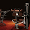 Сгибание ног стоя Panatta 1FE084 | Panatta | italy-sport.ru