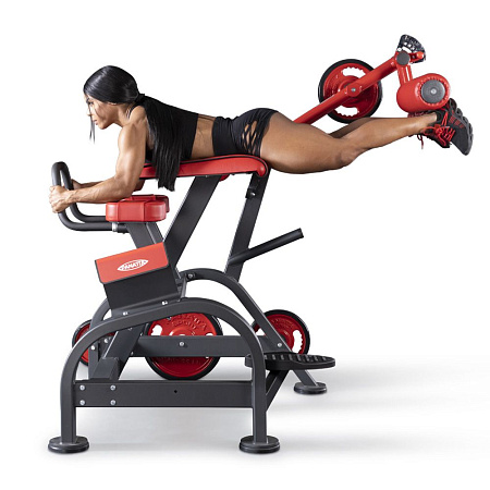 Обратная гиперэкстензия Panatta 1FW096 | Panatta | italy-sport.ru