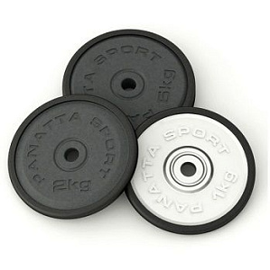 Диск прорезиненный Panatta 1 кг. 1DG1 | Panatta | italy-sport.ru