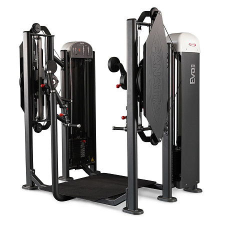 Независимый бицепс/трицепс стоя Panatta 1FE155 | Panatta | italy-sport.ru