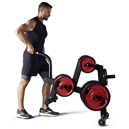 Передвижная стойка для дисков Panatta 1PWL201 | Panatta | italy-sport.ru