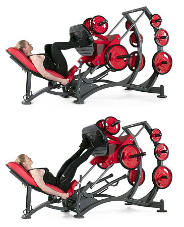 Жим ногами под углом 45° Panatta 1HP586 | Panatta | italy-sport.ru